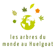 Les Arbres du Monde au Huelgoat