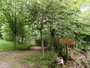foret