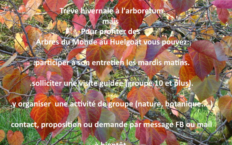 Trêve hivernale
